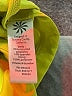 Athleta Solid Yellow Athletic Shorts Size 5X - photo 3