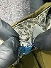 Elevenses Stars Gold Green Casual Pants Size 4 - photo 7