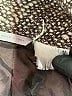 Barneys New York Tweed Gray Jacket Size EU 42 / US 12 - photo 6