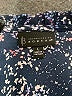 B Collection by Bobeau 100% Polyester Blue Sleeveless Blouse Size L - photo 7