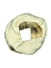 Aerie Ivory Scarf One size - photo 2