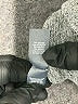 Aerie Silver Pullover Sweater Size M - photo 8