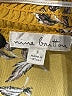 Nine Britton 100% Polyester Yellow 3/4 Sleeve Blouse Size S - photo 7