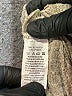 Ekouaer Tweed Gold Shorts Size XL - photo 4