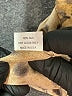 Shamask 100% Silk Animal Print Gold 3/4 Sleeve Silk Top One size - photo 7