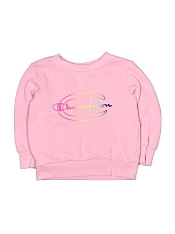 Champion Sweatshirt (view 1)