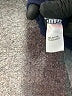 Boston Proper Solid Blue Active Pants Size XS - photo 7