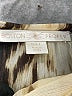 Boston Proper Animal Print Ivory Casual Dress Size L - photo 6