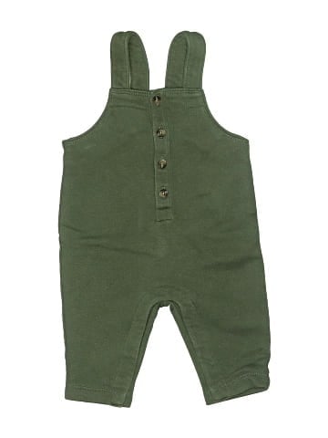 Old Navy Overalls (view 1)