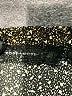 Code x Mode Animal Print Brown Casual Dress Size S - photo 7