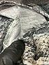 Krisa 100% Polyester Silver Long Sleeve Blouse Size L - photo 7