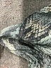 Krisa 100% Polyester Silver Long Sleeve Blouse Size L - photo 9