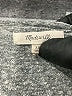 Madewell Gray Bodysuit Size XS - photo 3