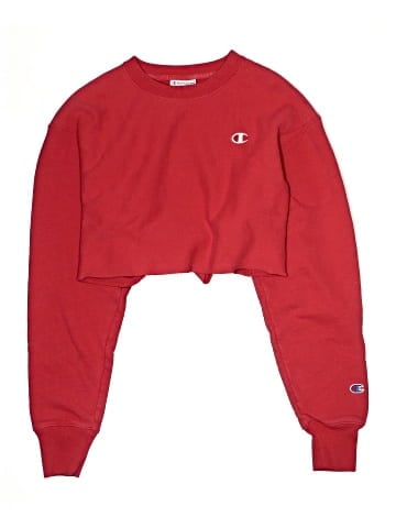 Champion Sweatshirt (view 1)