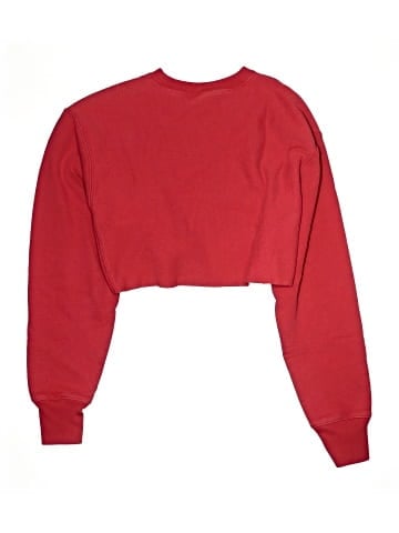 Champion Sweatshirt (view 2)