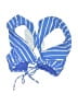 Raisins Stripes Blue Swimsuit Top Size M - photo 1