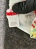 Hanna Andersson Red Rash Guard Size 90 (85 CM) - photo 4