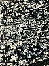 Zyia Active Print Silver Active Pants Size 6 - 8 - photo 4