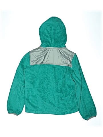 The North Face Snow Jacket (view 2)