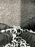 Unbranded Animal Print Gray Black 3/4 Sleeve Button-Down Shirt Size S (estimated) - photo 7