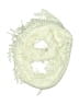 Mixit 100% Acrylic Ivory Scarf One size - photo 1