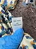 Lezat 100% Polyester Print Blue Casual Dress Size M - photo 4
