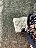 Princess Vera Wang Paisley Blue Long Sleeve Blouse Size XS - photo 8
