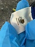 a.n.a. A New Approach Stripes Blue Pullover Sweater Size M (petite) - photo 8
