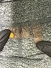 Zella Gray Active Pants Size L - photo 7