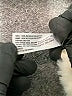 Cat & Jack 100% Polyester Ivory Snow Jacket 9-12 MO / 12 MO - photo 4