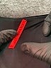 SPANX Black Active Pants Size M - photo 7
