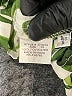 Fashion Nova 100% Polyester Tropical Green Romper Size XS - photo 5