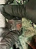Sanctuary Houndstooth Green Casual Pants Size XS - photo 5