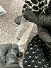 Vince Camuto Polka Dots Black Pullover Sweater Size S - photo 7
