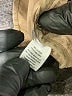 Ann Taylor LOFT Tan Jacket Size M - photo 7