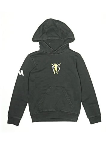 Adidas Pullover Hoodie (view 1)