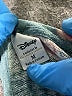 Disney LC Lauren Conrad Floral Teal Pullover Sweater Size M - photo 7