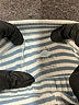 Cloud Island Stripes Blue Shorts Size 3-6 mo - photo 3