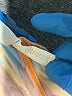Lularoe Print Blue Orange Casual Pants Size 1X (Tall & Curvy) - photo 5