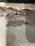Marilyn Monroe Floral Ivory Shorts Size L - photo 3