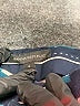 Banana Republic Print Blue Active Pants Size 4 - photo 4