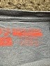 Assorted Brands Blue Short Sleeve T-Shirt Size S - photo 6