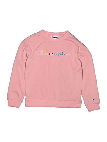 Champion Sweatshirt (view 1)
