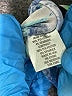 DressBarn Blue Sleeveless T-Shirt Size 1X - photo 8