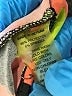 Chaus Graphic Orange Sleeveless Blouse Size XL - photo 8