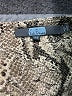 Eva Franco Animal Print Gold Short Sleeve Blouse Size XS - photo 7