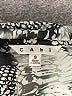 CAbi 100% Polyester Animal Print Silver Long Sleeve Blouse Size S - photo 7