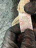 ABound Ivory Jacket Size S - photo 4