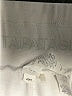 Assorted Brands White Active Pants Size XXL - photo 4