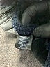 Marcus Adler 100% Nylon Color Block Gray Blue Jacket Size 0X - photo 7